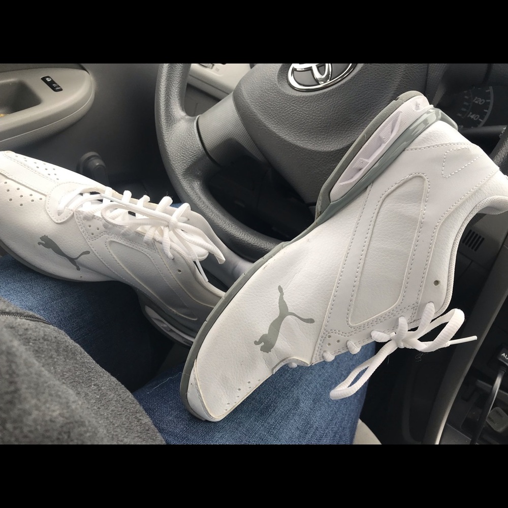 White Pumas